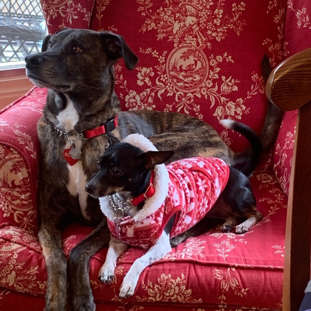 Meet your Posher, Jenn